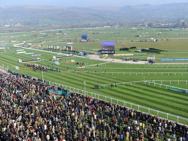 It's the Paddy Power Gold Cup at Cheltenham on Saturday